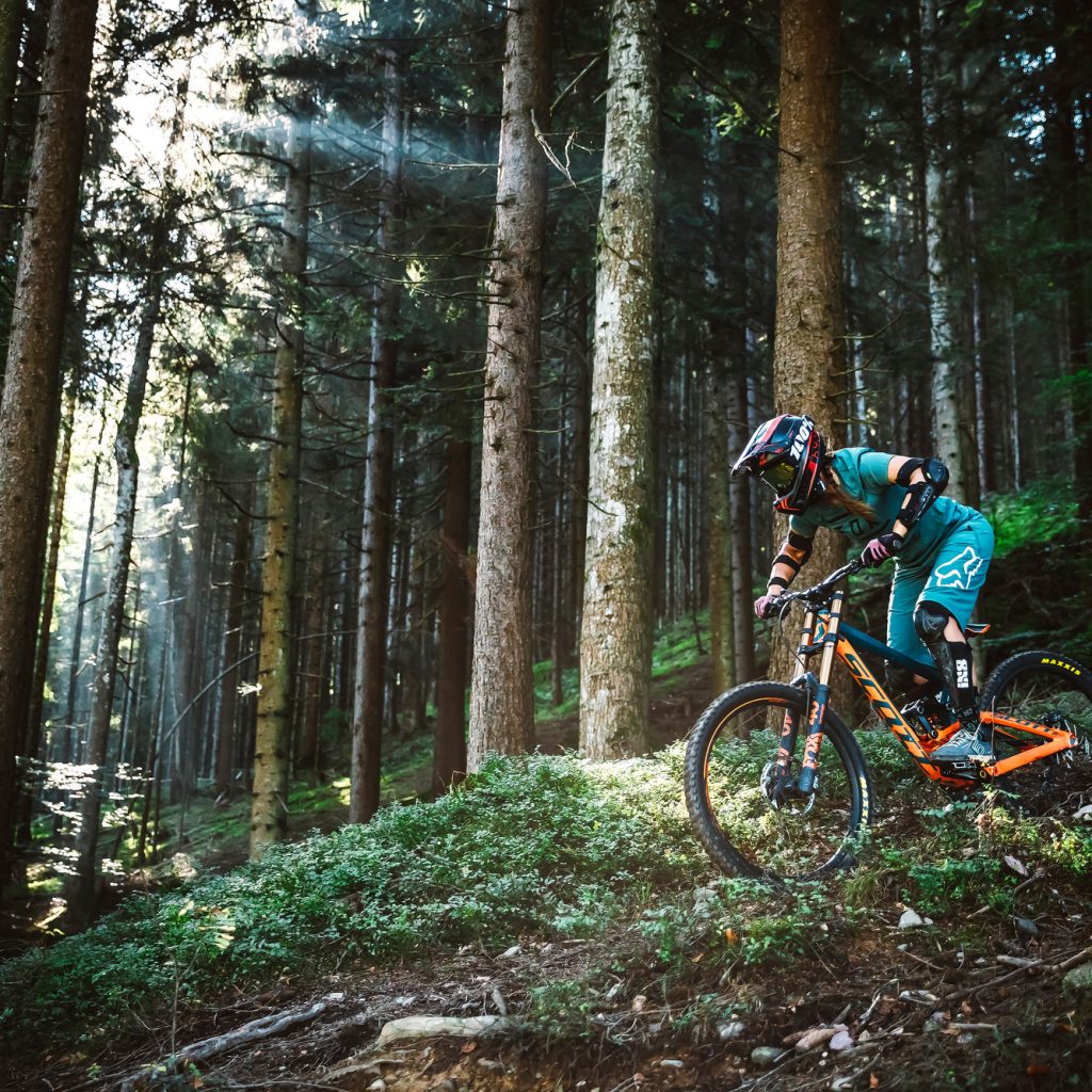 Ein Mountainbiker in voller Montur fährt bergab durch einen sonnenbeschienenen Wald mit hohen Bäumen und üppigem Grün.