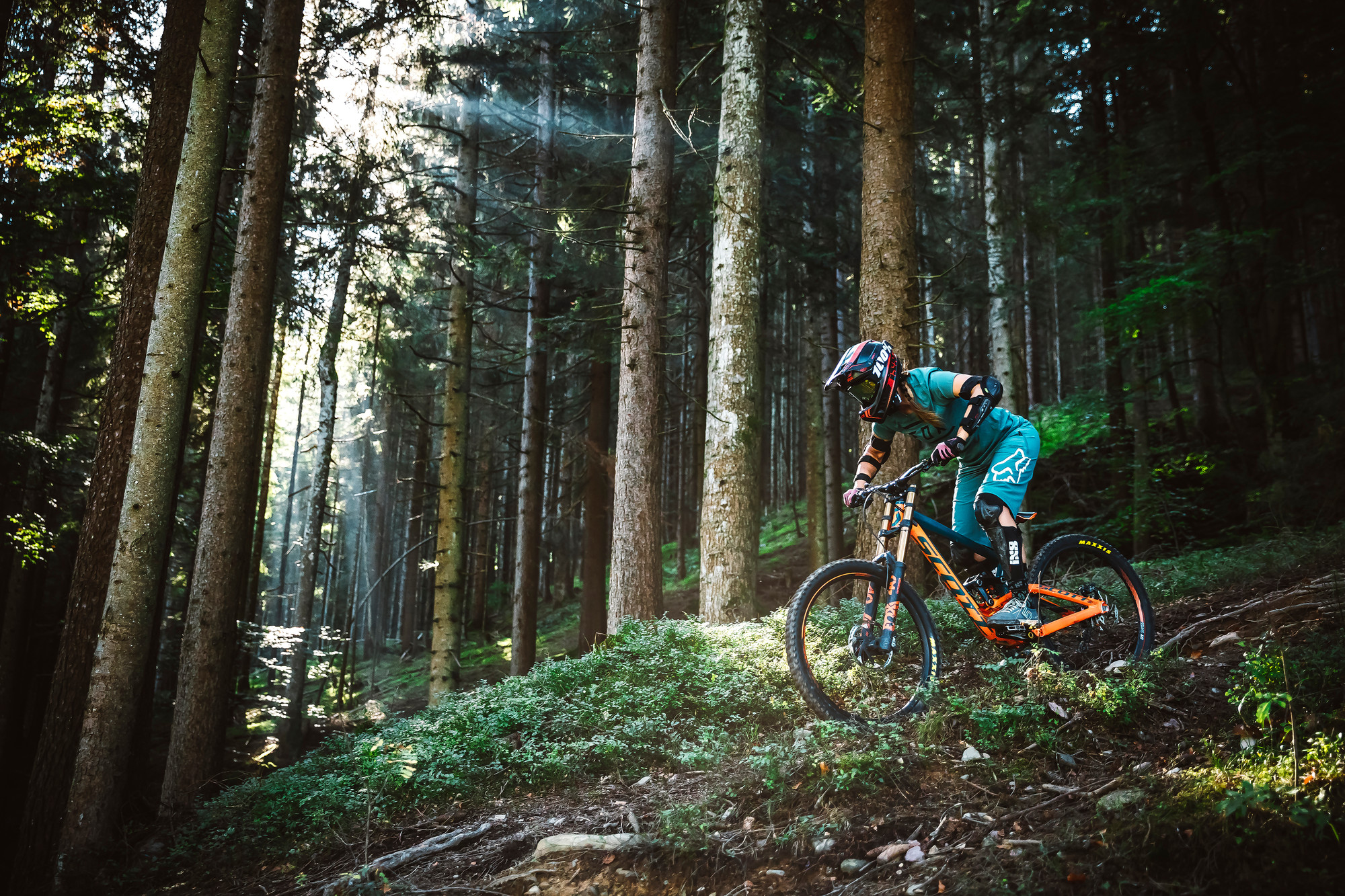 Ein Mountainbiker in voller Montur fährt bergab durch einen sonnenbeschienenen Wald mit hohen Bäumen und üppigem Grün.