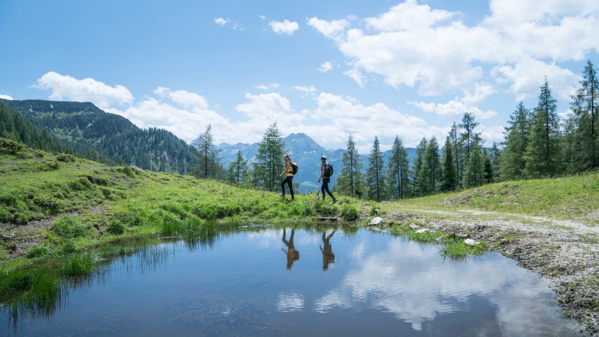 Zwei Menschen wandern in der Nähe eines kleinen Teiches in einer grünen Berglandschaft mit Bäumen und blauem Himmel.