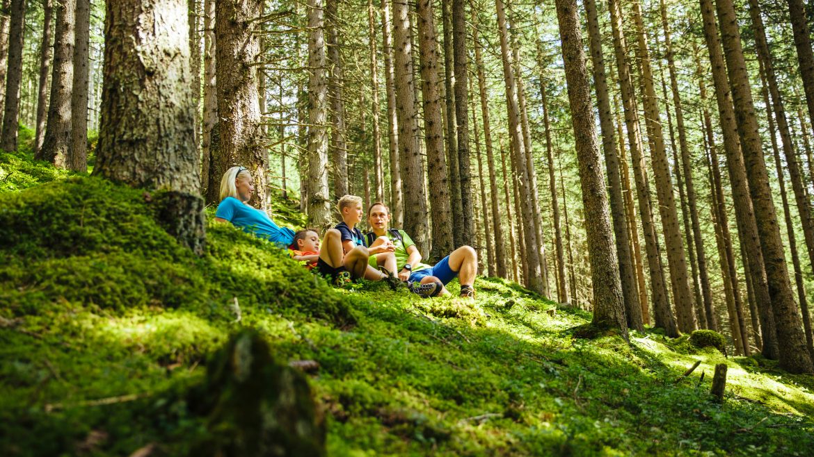 Eine Familie sitzt gemeinsam auf einem moosbewachsenen Waldboden inmitten hoher Bäume und gedämpften Sonnenlichts und entspannt sich.