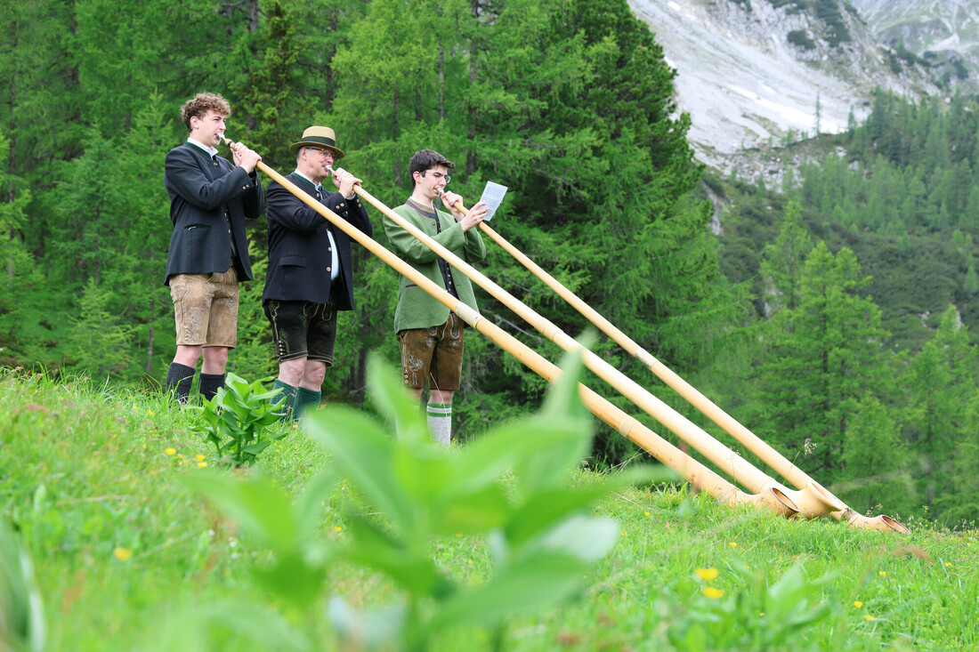Drei Männer in traditioneller österreichischer Tracht spielen auf einem grasbewachsenen Hügel mit Bäumen im Hintergrund auf langen hölzernen Alphörnern.
